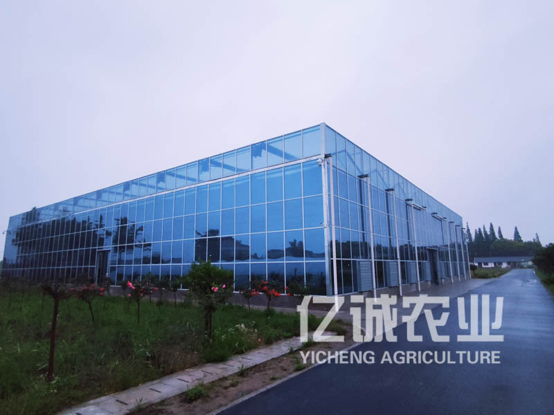 智能化玻璃溫室大棚建設廠家