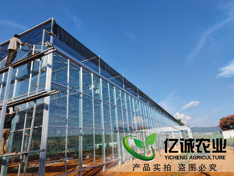 溫室大棚建設(shè)廠家 溫室大棚建設(shè)廠家