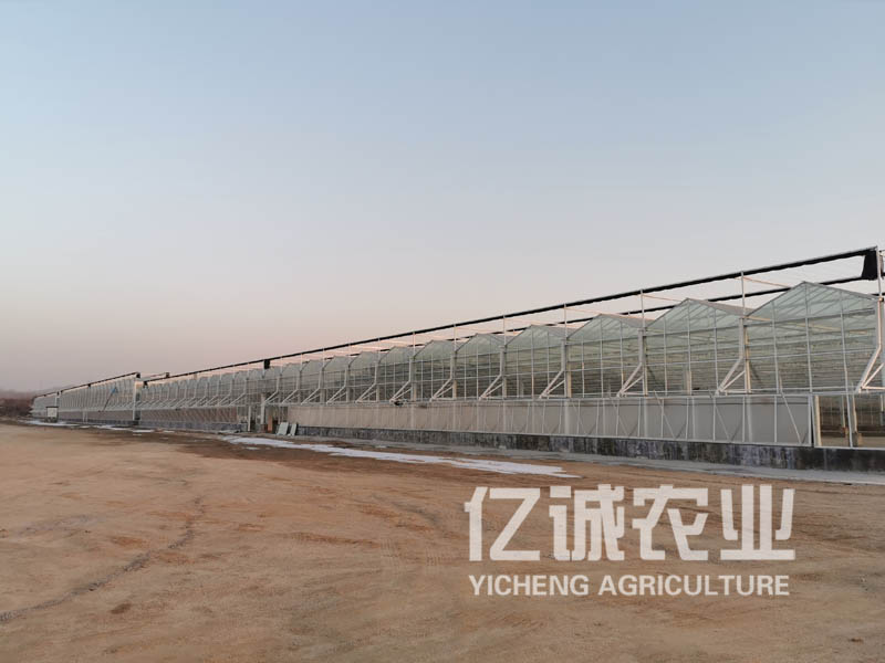 新型現代化智能溫室大棚